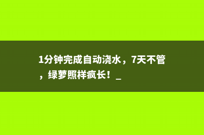 1分钟完成自动浇水，7天不管，绿萝照样疯长！ 