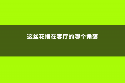 这花摆一盆放客厅，可以“辟邪”“旺运”，关键是好养 (这盆花摆在客厅的哪个角落)