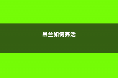 养护吊兰，大爷有诀窍，每次只浇这种水，枝条长得收不住！ (吊兰如何养活)