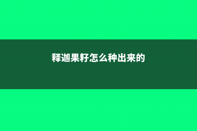 释迦果籽怎么种小盆栽 (释迦果籽怎么种出来的)