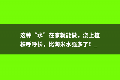 这种“水”在家就能做，浇上植株呼呼长，比淘米水强多了！ 