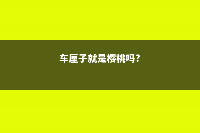 车厘子就是樱桃吗 (车厘子就是樱桃吗?)