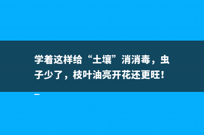 学着这样给“土壤”消消毒，虫子少了，枝叶油亮开花还更旺！ 