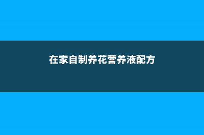 在家自制养花“育苗器”，只要一个塑料瓶，扦插7天就发芽！ (在家自制养花营养液配方)