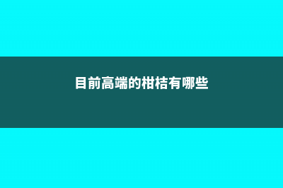 目前高端的柑桔品种有哪些 (目前高端的柑桔有哪些)