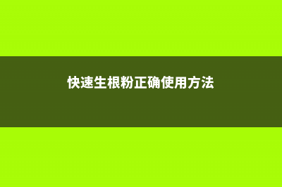 生根粉可以直接浇灌吗 (快速生根粉正确使用方法)