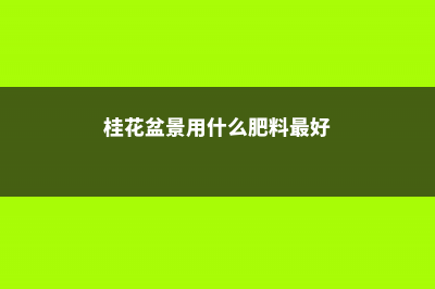 桂花盆栽里掺点“它”，枝芽冒不停，满园飘着桂花香 (桂花盆景用什么肥料最好)