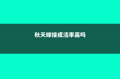 秋天给树“嫁个接”，长出的杏有桃味儿！但也要注意... (秋天嫁接成活率高吗)