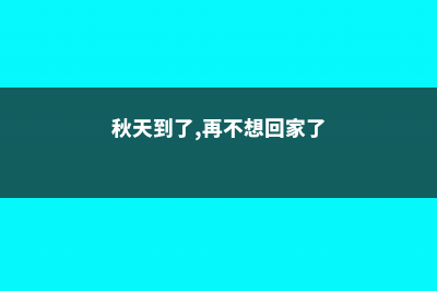 秋天到了，再不给你家植株“换盆”，可连冬天都熬不到啦！ (秋天到了,再不想回家了)