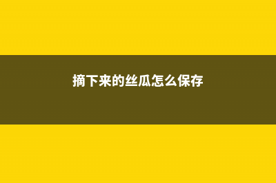 挖出来的“丝瓜瓤”还能养花？剪碎后埋土里，防止土壤变硬的好帮手！ (摘下来的丝瓜怎么保存)