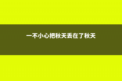 秋天把它丢盆里，叶子油绿花开爆，10年不烂根！ (一不小心把秋天丢在了秋天)