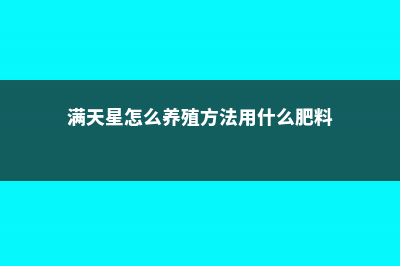 满天星怎么养殖方法 (满天星怎么养殖方法用什么肥料)