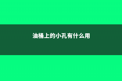 油桶戳个洞，10天就变小菜园，一年不用花钱买菜了！ (油桶上的小孔有什么用)