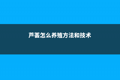 芦荟怎么养殖方法 (芦荟怎么养殖方法和技术)