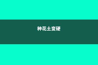 养花的土变硬怎么办？别傻乎乎的浇水了，给花“换个盆”吧！ (种花土变硬)