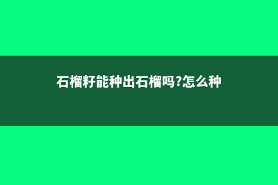 石榴籽能种吗 (石榴籽能种出石榴吗?怎么种)