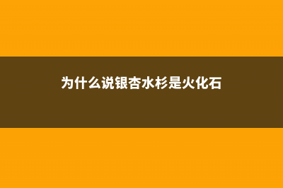 为什么说银杏水杉是活化石 (为什么说银杏水杉是火化石)