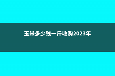 什么时候收玉米 (玉米多少钱一斤收购2023年价格)