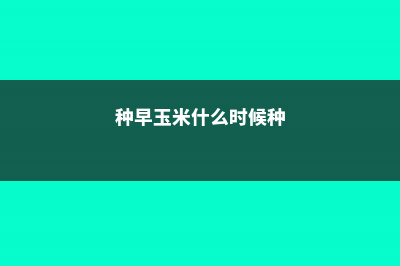 玉米什么时候种 (种早玉米什么时候种)