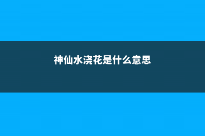 给花浇点神仙水，3天黄叶变绿叶，根壮好过冬！ (神仙水浇花是什么意思)