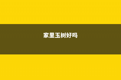 邻居家的玉树长成“大老桩”，询问原因，原来浇了这种水！ (家里玉树好吗)