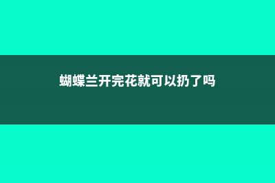 蝴蝶兰开完花就扔？真傻！像我这么养，年年冬天都能开！ (蝴蝶兰开完花就可以扔了吗)