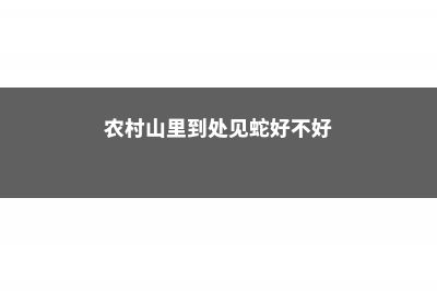 农村山里到处见的“木头疙瘩”，挖回家养，做成盆栽比绿萝好看100倍 (农村山里到处见蛇好不好)