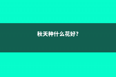 秋天种这3种花卉，选根枝条插土里，能开满一屋子 (秋天种什么花好?)