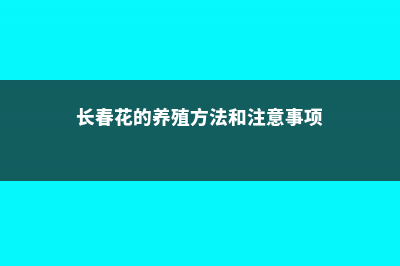 长春花的养殖方法 (长春花的养殖方法和注意事项)