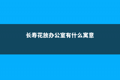 单位的“长寿花”叶子发黄了，排查后才知道，原来是因为没开窗！ (长寿花放办公室有什么寓意)