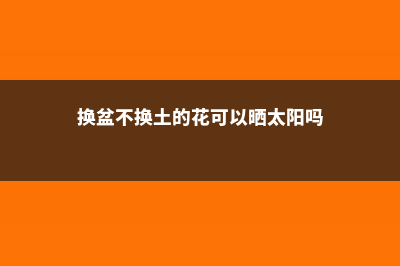 现在不给花换盆，黄叶落叶不长个，天一冷就死！ (换盆不换土的花可以晒太阳吗)