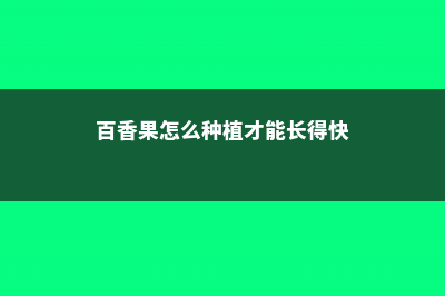 百香果怎么种 (百香果怎么种植才能长得快)