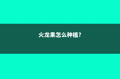 火龙果怎么种植方法 (火龙果怎么种植?)