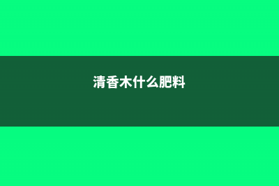 清香木用什么肥料 (清香木什么肥料)