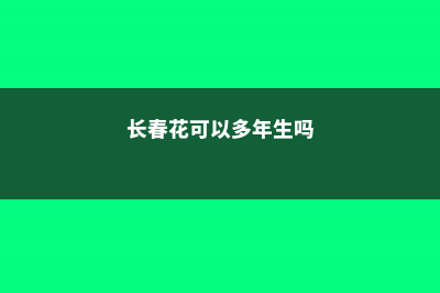 长春花可以养几年 (长春花可以多年生吗)