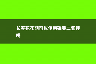 长春花花期可以摘心吗 (长春花花期可以使用磷酸二氢钾吗)