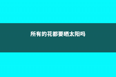 花也需要“洗澡”，每次擦一擦，叶片油亮能反光！ (所有的花都要晒太阳吗)