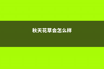 秋天给花的“根”剪两刀，不光没事，长得还更好了 (秋天花草会怎么样)