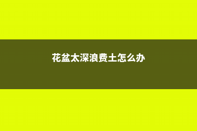 花盆太深真要命，长寿君子兰养1盆死1盆，赶紧换！ (花盆太深浪费土怎么办)