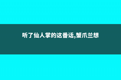 蟹爪兰仙人球…插它身上就活，开花五颜六色，堪称万能嫁接神器！ (听了仙人掌的这番话,蟹爪兰想)