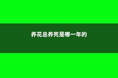 养花总养死是哪出问题了？原来“半截水”危害这么大呢！ (养花总养死是哪一年的)