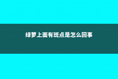 绿萝有个“小机关”，打开它，俩月疯长1米！ (绿萝上面有斑点是怎么回事)