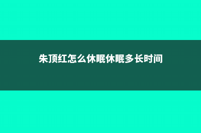 朱顶红怎么休眠 (朱顶红怎么休眠休眠多长时间)