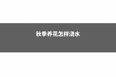 秋天浇花用这3种“水”，不烂根、不黄叶，长得贼旺！ (秋季养花怎样浇水)