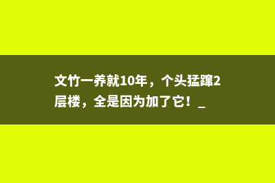 文竹一养就10年，个头猛蹿2层楼，全是因为加了它！ 