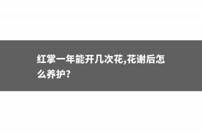 红掌一年能开几次花 (红掌一年能开几次花,花谢后怎么养护?)