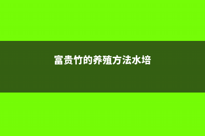 富贵竹的养殖方法 (富贵竹的养殖方法水培)