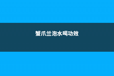 蟹爪兰喝点它，秋天连开100朵，叶子肥得直滴油！ (蟹爪兰泡水喝功效)