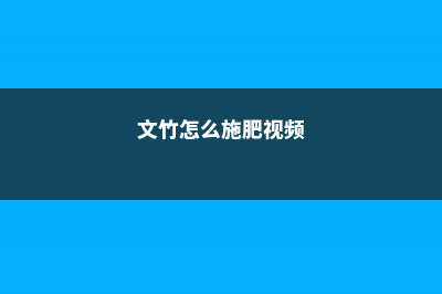 文竹怎么施肥 (文竹怎么施肥视频)