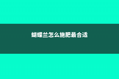 蝴蝶兰怎么施肥 (蝴蝶兰怎么施肥最合适)